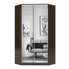 Шкаф-купе ХИТ-У-R-22-64-55 в Нижнекамске - nizhnekamsk.mebel24.online | фото