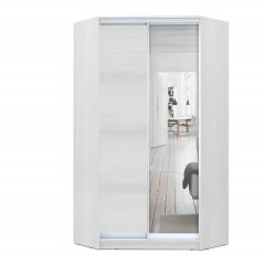 Шкаф-купе ХИТ-У-R-24-64-15 в Нижнекамске - nizhnekamsk.mebel24.online | фото