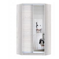 Шкаф-купе ХИТ-У-R-24-64-15 в Нижнекамске - nizhnekamsk.mebel24.online | фото 5
