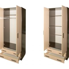 Шкаф распашной ПШ-3.8 в Нижнекамске - nizhnekamsk.mebel24.online | фото 2