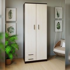 Шкаф распашной ПШ-3.9 в Нижнекамске - nizhnekamsk.mebel24.online | фото 3