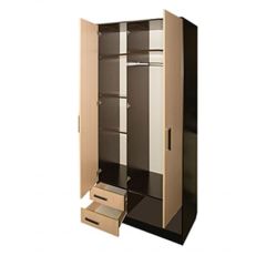 Шкаф распашной ПШ-3.9 в Нижнекамске - nizhnekamsk.mebel24.online | фото 2