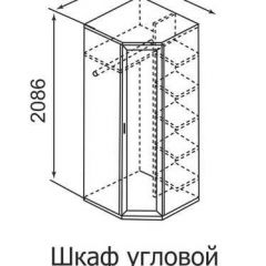 Шкаф угловой для одежды Ника-Люкс 30 без зеркал в Нижнекамске - nizhnekamsk.mebel24.online | фото 3