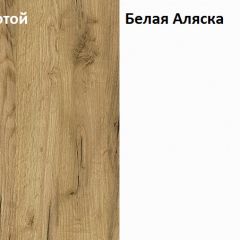 Стол компьютерный 12.74 Комфорт (Дуб Золотой CRAFT, Белая Аляска) в Нижнекамске - nizhnekamsk.mebel24.online | фото 4