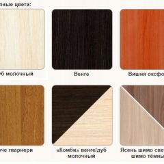 Стол компьютерный СК-3 в Нижнекамске - nizhnekamsk.mebel24.online | фото 3