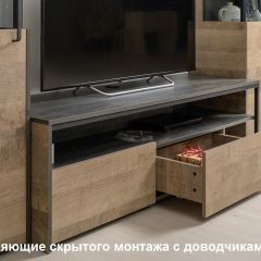 Трувор гостиная (модульная) в Нижнекамске - nizhnekamsk.mebel24.online | фото 19