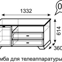 Тумба для телеаппаратуры Венеция 6 бодега в Нижнекамске - nizhnekamsk.mebel24.online | фото