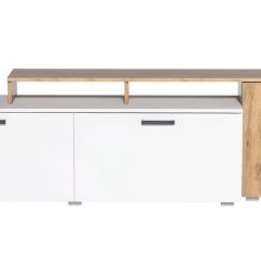 Тумба под ТВ Эльза (Дуб Крафт Золотой/Белый) в Нижнекамске - nizhnekamsk.mebel24.online | фото