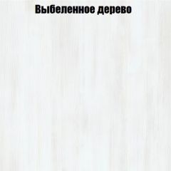 Вешалка V2 в Нижнекамске - nizhnekamsk.mebel24.online | фото 4