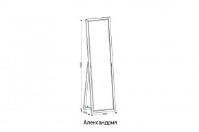 АЛЕКСАНДРИЯ-9.1 Зеркало напольное в Нижнекамске - nizhnekamsk.mebel24.online | фото 2