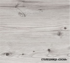 АСАЯ Кухонный гарнитур Экстра (3000 мм) в Нижнекамске - nizhnekamsk.mebel24.online | фото 8
