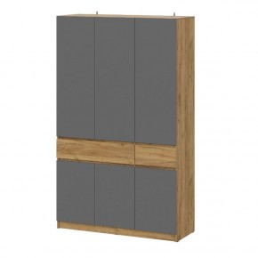 АВИНЬОН Прихожая (модульная) в Нижнекамске - nizhnekamsk.mebel24.online | фото 13