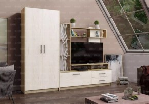 ДАРЬЯ Гостиная (Крафт серый/Крафт белый) в Нижнекамске - nizhnekamsk.mebel24.online | фото