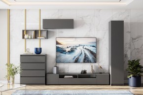 ДЕНВЕР Пенал (Графит серый) в Нижнекамске - nizhnekamsk.mebel24.online | фото 4