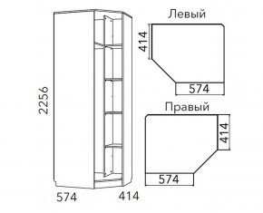 Детская Фанк Шкаф угловой Левый/Правый НМ 013.04-02 М в Нижнекамске - nizhnekamsk.mebel24.online | фото 3