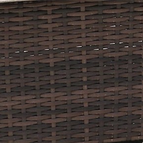 Диван-трансформер из искусственного ротанга AFM-320B Brown в Нижнекамске - nizhnekamsk.mebel24.online | фото 2