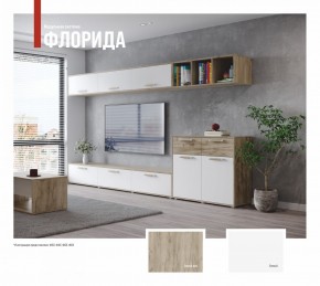 ФЛОРИДА Гостиная (модульная) дуб серый/белый в Нижнекамске - nizhnekamsk.mebel24.online | фото