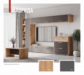 ФЛОРИДА Гостиная (модульная) дуб золотой/графит в Нижнекамске - nizhnekamsk.mebel24.online | фото