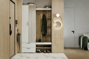 Гарнитур для прихожей Торонто в Нижнекамске - nizhnekamsk.mebel24.online | фото 5