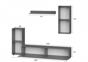 Гостиная МГС 10 (Графит) в Нижнекамске - nizhnekamsk.mebel24.online | фото 2