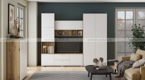 МИЛАН-1 Гостиная (модульная) в Нижнекамске - nizhnekamsk.mebel24.online | фото 10