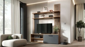 КАРОЛИНА Гостиная в Нижнекамске - nizhnekamsk.mebel24.online | фото