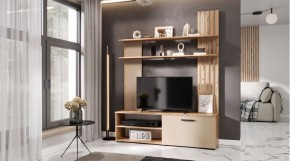 КАРОЛИНА Гостиная в Нижнекамске - nizhnekamsk.mebel24.online | фото 2