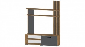 КАРОЛИНА Гостиная в Нижнекамске - nizhnekamsk.mebel24.online | фото 5