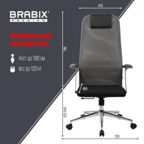 Кресло офисное BRABIX PREMIUM "Ultimate EX-801" хром, плотная двойная сетка Х2, черное/серое, 532918 в Нижнекамске - nizhnekamsk.mebel24.online | фото 5