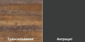 Кухонный гарнитур угловой Трансильвания 2400x1600 мм (Стол. 38 мм) Антрацит/Трансильвания в Нижнекамске - nizhnekamsk.mebel24.online | фото 3