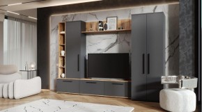 ЛЕВАНТЕ Гостиная (дуб вотан/графит) в Нижнекамске - nizhnekamsk.mebel24.online | фото