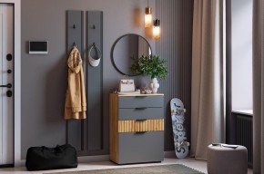 МЕБЕЛЬСОН К21 Прихожая в Нижнекамске - nizhnekamsk.mebel24.online | фото 2