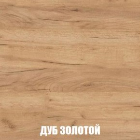 МСП-1 Шкаф 2-х створчатый (Дуб Золотой/Камень темный) в Нижнекамске - nizhnekamsk.mebel24.online | фото 4