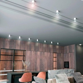Накладной светильник Novotech Elina 370730 в Нижнекамске - nizhnekamsk.mebel24.online | фото 3