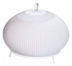 Настольная лампа декоративная Divinare Firefly 1808/33 TL-50 в Нижнекамске - nizhnekamsk.mebel24.online | фото
