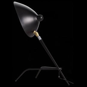 Настольная лампа декоративная ST-Luce Spruzzo SL305.404.01 в Нижнекамске - nizhnekamsk.mebel24.online | фото 2