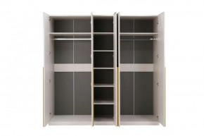 НИКОЛЬ 25 Шкаф 5-ти створчатый в Нижнекамске - nizhnekamsk.mebel24.online | фото 3