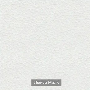 ОЛЬГА-МИЛК 2 Прихожая в Нижнекамске - nizhnekamsk.mebel24.online | фото 4