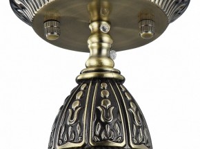 Подвесной светильник Favourite Sorento 1584-1P в Нижнекамске - nizhnekamsk.mebel24.online | фото 4