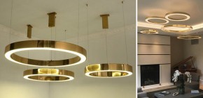 Подвесной светильник Imperiumloft Light Ring Horizontal 40.1454-120 в Нижнекамске - nizhnekamsk.mebel24.online | фото 2