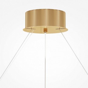 Подвесной светильник Maytoni Castello MOD336PL-L170G3K в Нижнекамске - nizhnekamsk.mebel24.online | фото 4