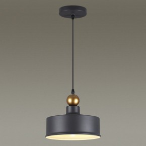 Подвесной светильник Odeon Light Bolli 4088/1 в Нижнекамске - nizhnekamsk.mebel24.online | фото 4