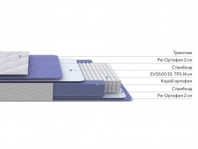 PROxSON Матрас Active F (Ткань Трикотаж Эко) 80x190 в Нижнекамске - nizhnekamsk.mebel24.online | фото 2