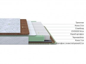 PROxSON Матрас Green Duo M/F (Tricotage Dream) 120x190 в Нижнекамске - nizhnekamsk.mebel24.online | фото 2