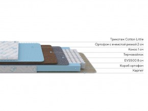 PROxSON Матрас Совенок (Print) 60x170 в Нижнекамске - nizhnekamsk.mebel24.online | фото 3