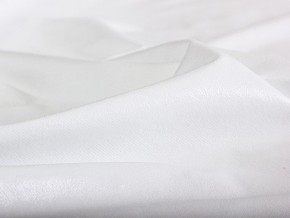 PROxSON Защитный чехол Aqua Save Plush S (Ткань влагостойкая Coral Fleece) 200x220 в Нижнекамске - nizhnekamsk.mebel24.online | фото 6
