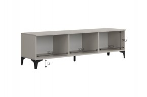 РИЧ Тумба 2 в Нижнекамске - nizhnekamsk.mebel24.online | фото 3