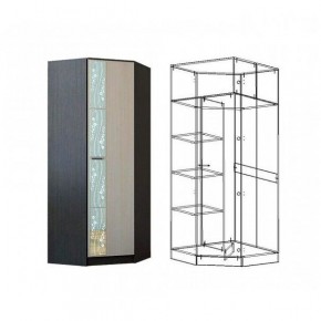 САБИНА ГОСТИНАЯ НАБОР №ВД-1 (венге/дуб белфорт) в Нижнекамске - nizhnekamsk.mebel24.online | фото 6