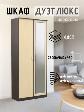 Шкаф 2-х створчатый Дуэт Люкс с зеркалом в Нижнекамске - nizhnekamsk.mebel24.online | фото