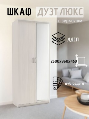 Шкаф 2-х створчатый Дуэт Люкс с зеркалом в Нижнекамске - nizhnekamsk.mebel24.online | фото 5